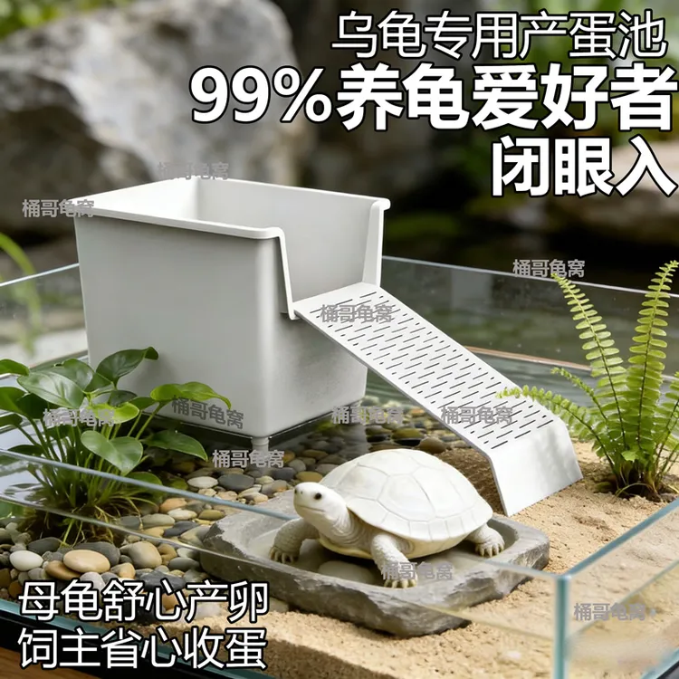【乌龟产蛋箱】乌龟饲养盒蛋龟繁殖箱乌龟下蛋盒育苗饲养箱乌龟育苗