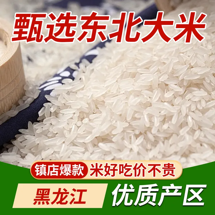 【杨总专属】五斤五斤囤 奇米园丝苗米软糯香甜大米密封到手一袋