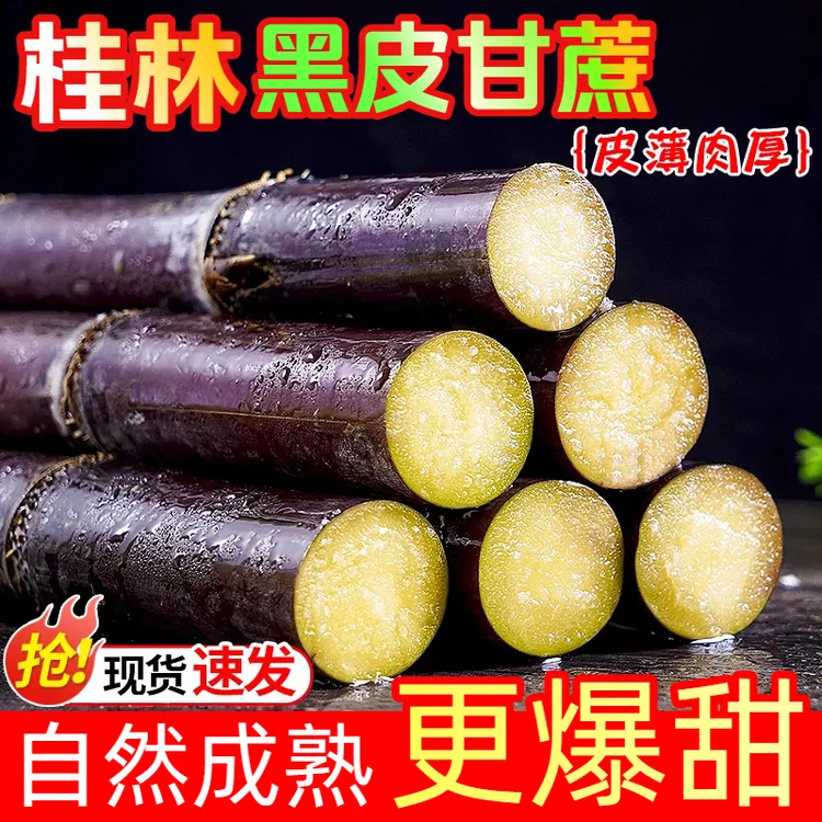 【产地严选】广西阳朔黑皮甘蔗水果甘蔗新鲜现砍广西甘蔗孕妇水果