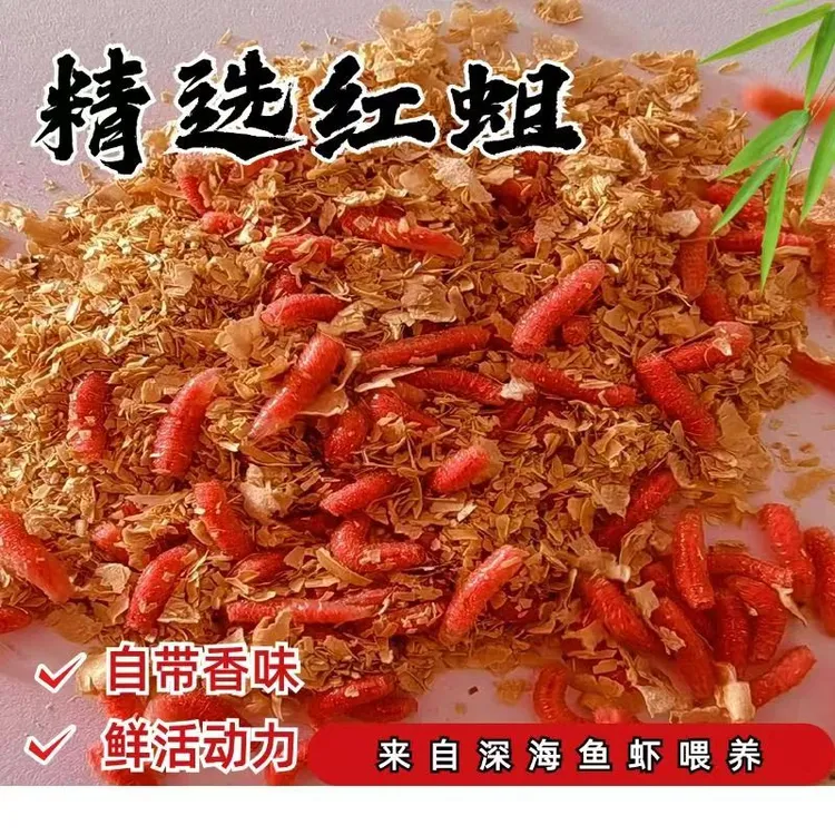 【钓友推荐】鲜活饵野钓鱼红蛆虫活体鱼饵肉蛆活虫活蛆大蛆白条马口