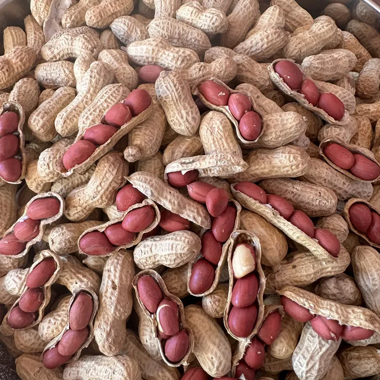 铁锅炒花生。酥脆 香