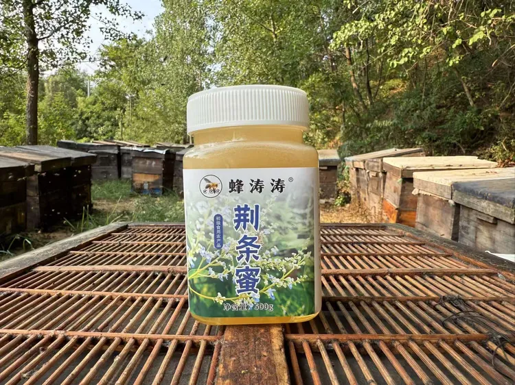 蜂涛涛荆条蜜采自深山天然成熟0添加纯蜂蜜