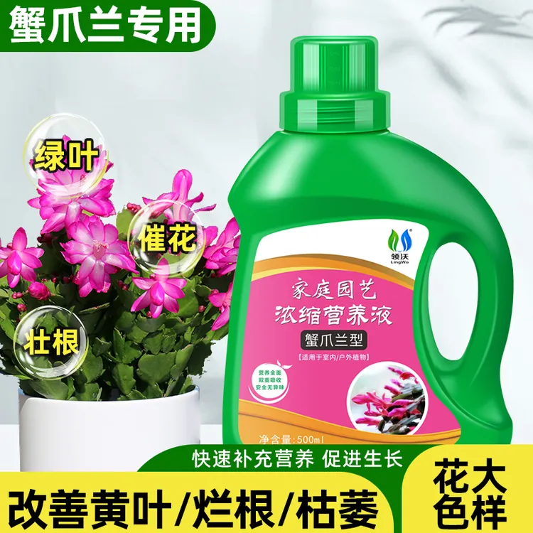 【拍二发四】领沃蟹爪兰超浓缩植物营养液花卉植物专用盆栽家用养花