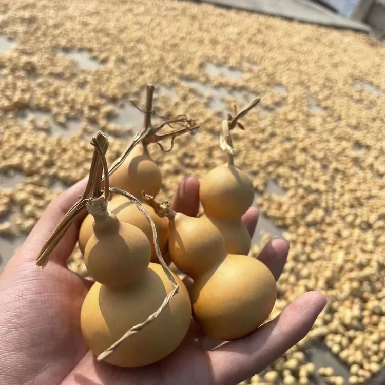 小葫芦精品纯天然手把件挂件适合烙画摆件墨刻图案文玩小美葫芦
