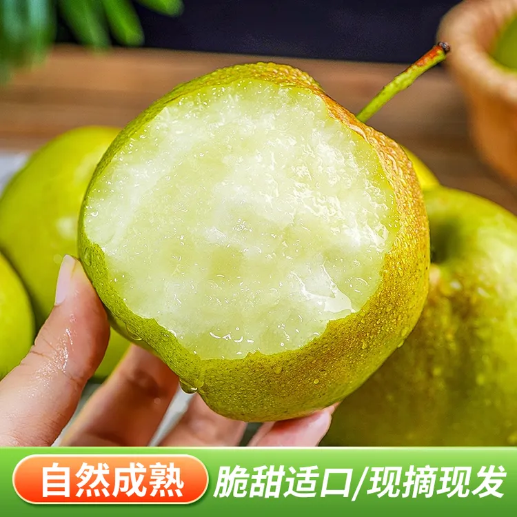 【陕西翡翠梨】香梨脆甜多汁细腻化渣爆汁产地直发新鲜时令水果批发