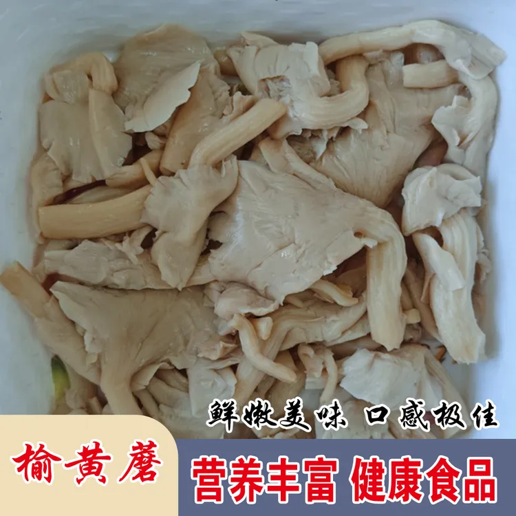 当季榆黄蘑 菌香浓郁 鲜嫩多汁 营养美味 两袋装 每袋350g