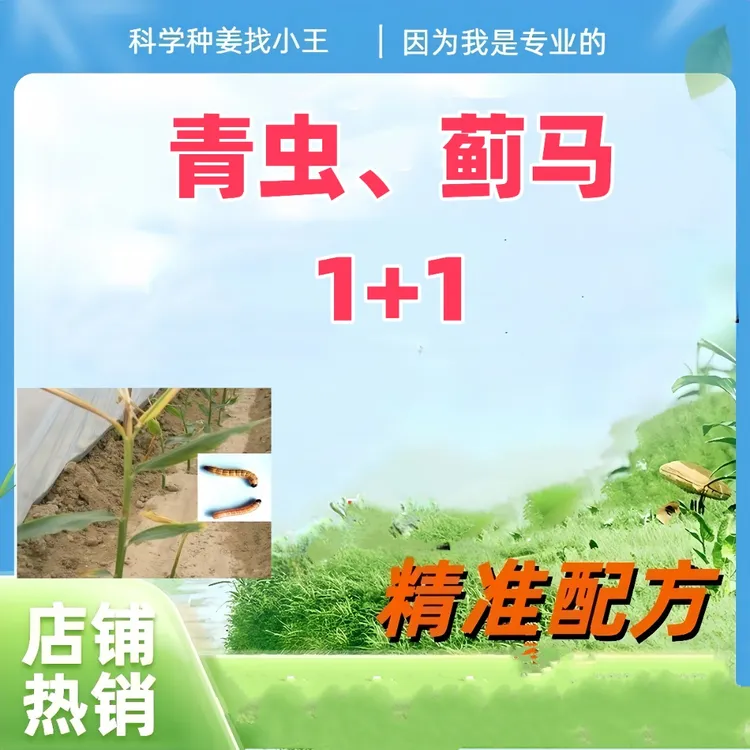 大姜青虫3合1     一套6喷雾器