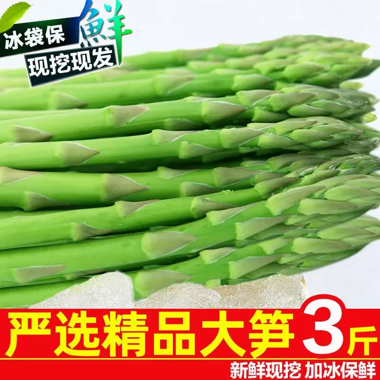 2025大棚种植芦笋现摘新鲜芦笋当季时令蔬菜河南产地直发脆嫩多汁