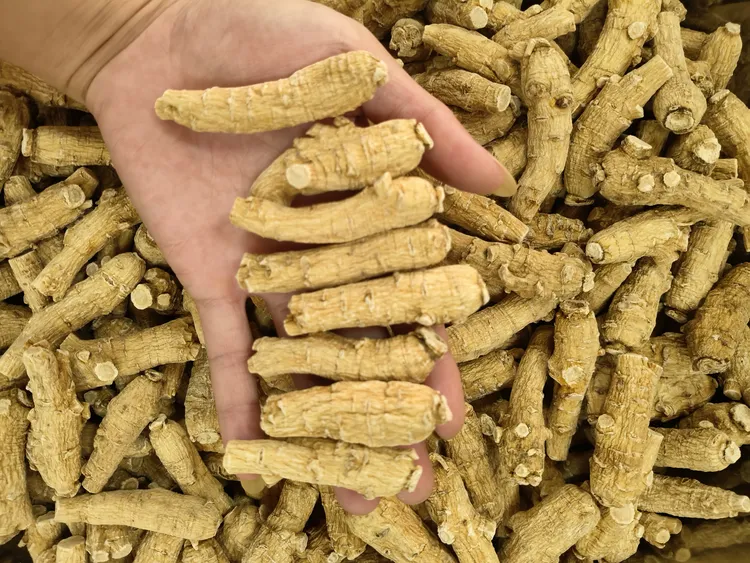 正宗加拿大西洋参10g粒二面参味浓郁可切片打粉煲汤煮水喝