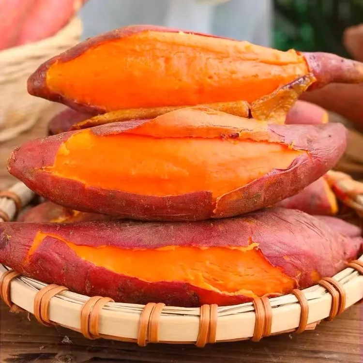 全爸农产品【西瓜红番薯】广东沙地红薯新鲜现挖番薯软糯香甜