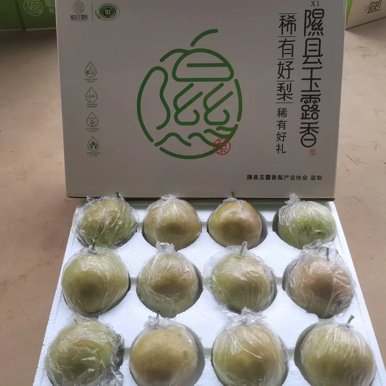 山西省临汾市隰县小西天玉露香梨