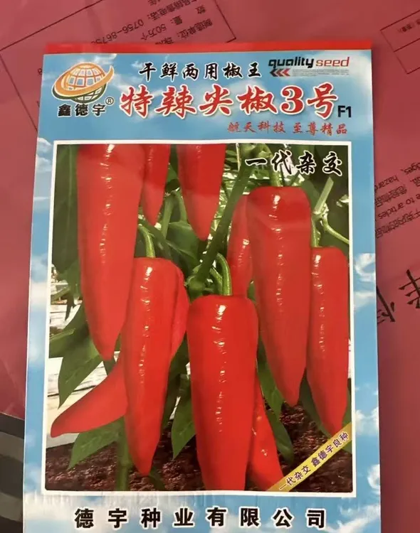 【特辣尖椒3号辣椒籽种子】四季种植盆栽地栽阳台小院种植