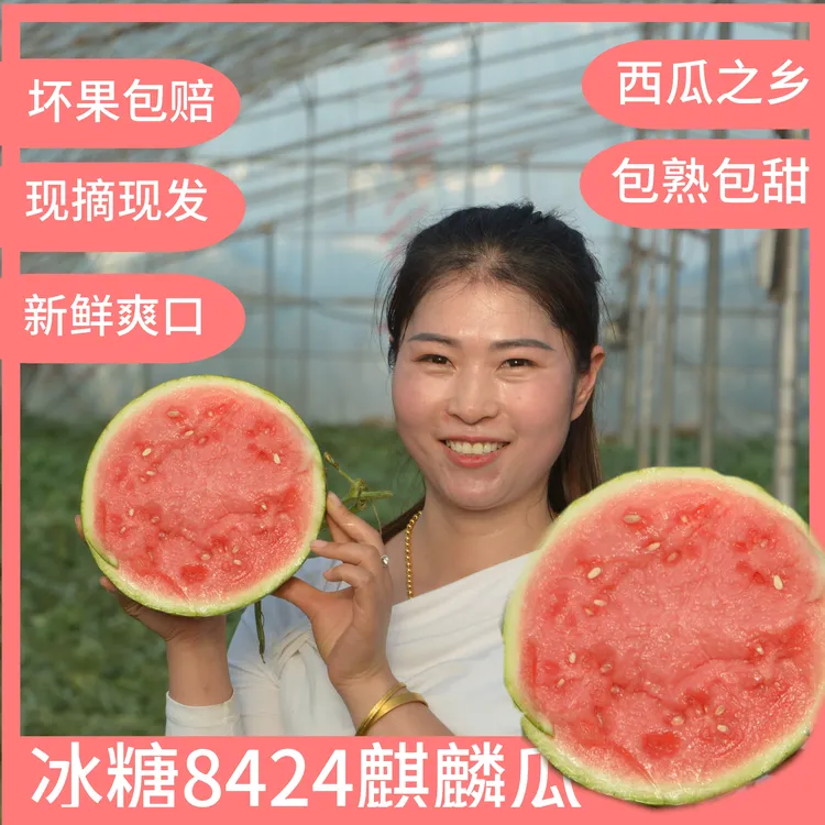 顺丰京东包邮正宗美都8424麒麟冰糖大西瓜脆甜多汁现摘现麒麟西瓜