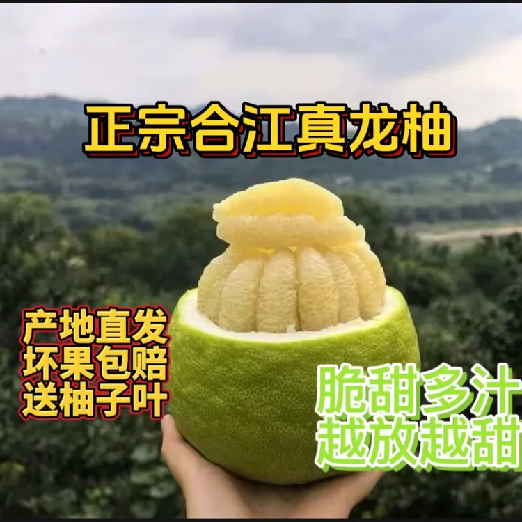 四川泸州合江真龙柚 精选中果 新鲜应季无酸超甜多汁白心柚