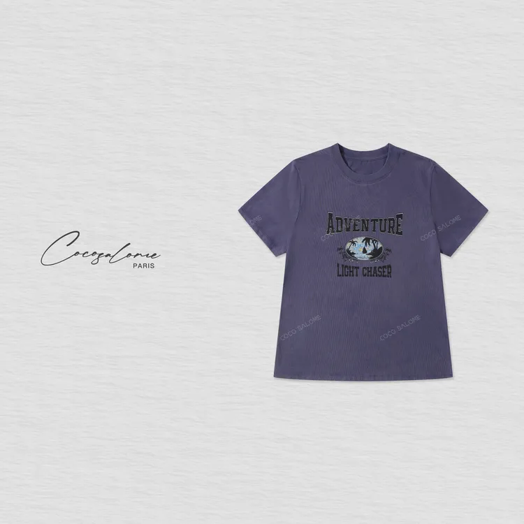 韩彬彬"葡萄园"梅紫做旧氧层字母图腾265g肌理骨相宽松T恤018Y-2