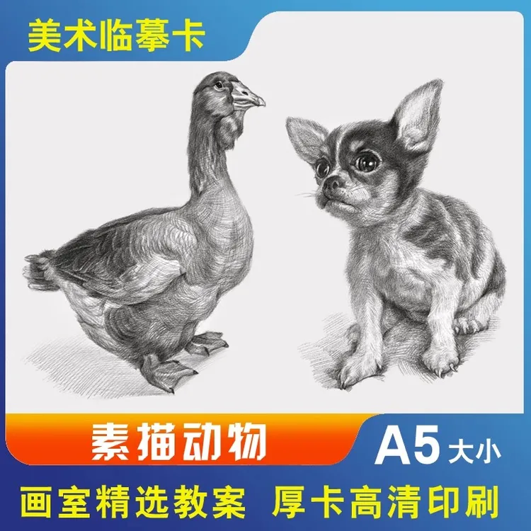 美术临摹卡素描动物步骤版基础篇艺术入门培训教学画高清印刷32张