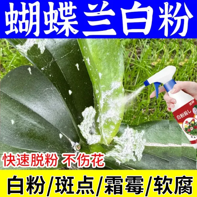 蝴蝶兰白粉病专用白粉殺花卉叶面白粉白斑白霉急救多肉专用营养液