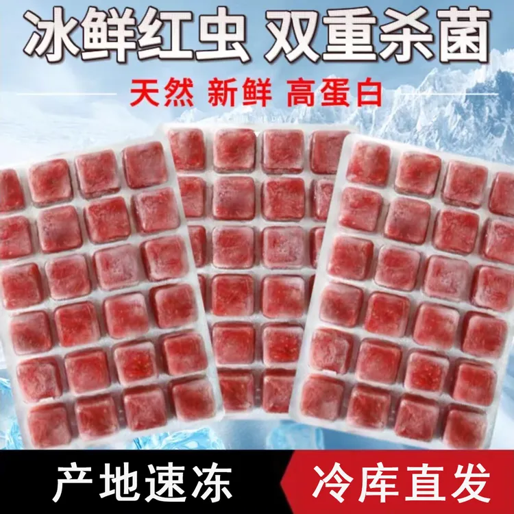 冷冻红虫喂鱼鱼饲料热带鱼