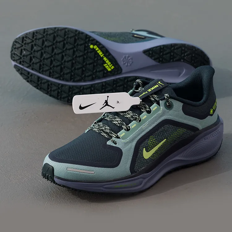 NIKE耐克男鞋新款低帮训练缓震AIR ZM PEGASUS 41 GTX运动跑步鞋