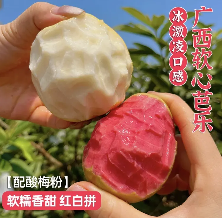 现摘新鲜广西红心白心芭乐软糯脆甜多汁富含维C应季水果