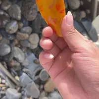 未镶嵌和田玉（糖玉）珠宝奇石