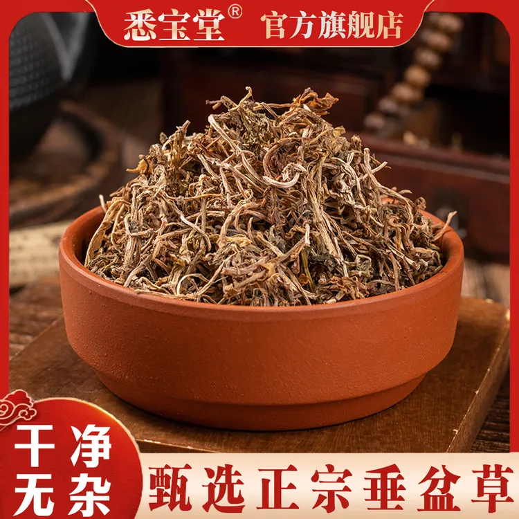 【垂盆草】垂盆草锤盆草狗牙瓣草石指甲新鲜干货垂盆草泡水煮水