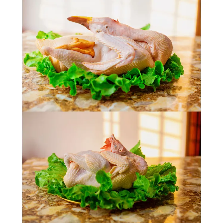 原生态赶海鸭【1只】+山茶园土鸡【1只】农家慢养放养