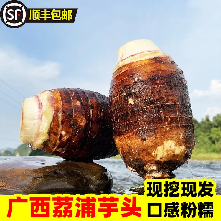 【顺丰包邮】正宗广西荔浦芋头新鲜现挖粉糯香芋槟榔芋大芋头特产