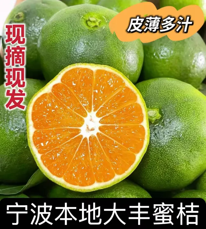 新鲜现摘正宗大丰蜜桔无籽青皮蜜橘酸甜爽口薄皮多汁应季水果