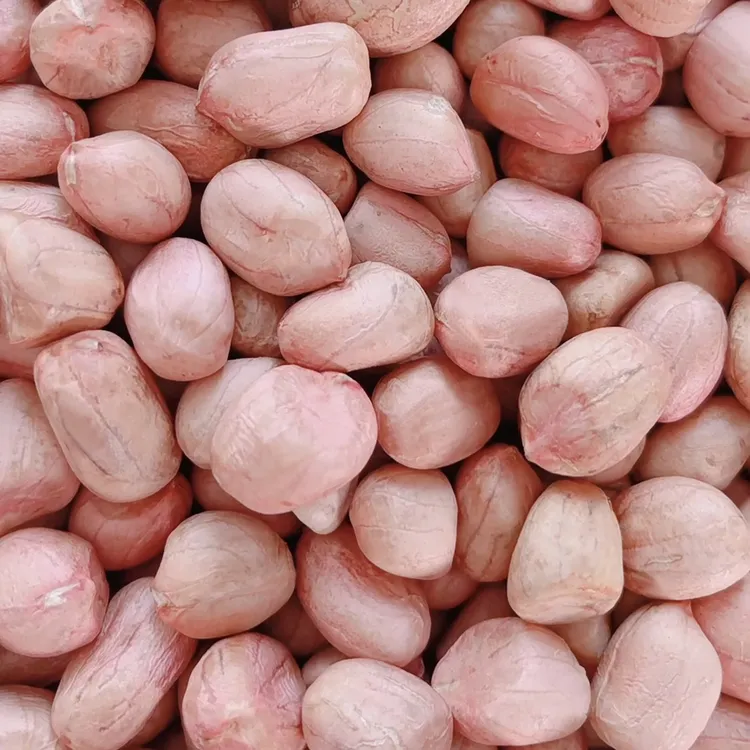 2025年新上市干花生米河南南阳大白沙生新鲜菜现脱壳三斤五斤十斤