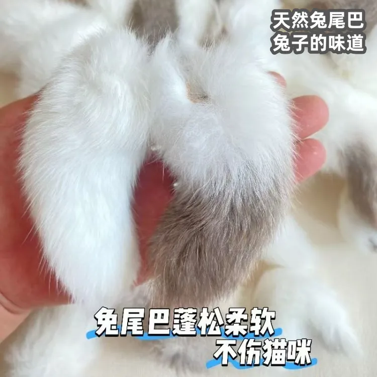 气味丰容闻嗅自嗨解闷逗猫兔尾巴猫咪逗猫玩具真天然兔尾巴带尾骨