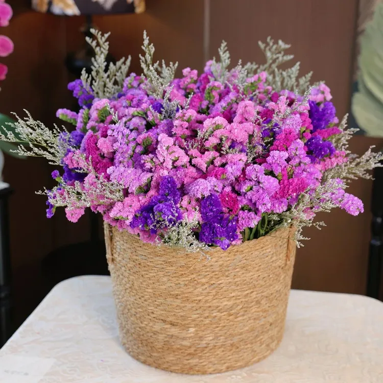 【两斤装勿忘我】到手两束四色勿忘我云南基地干花永生花鲜花切花商品图