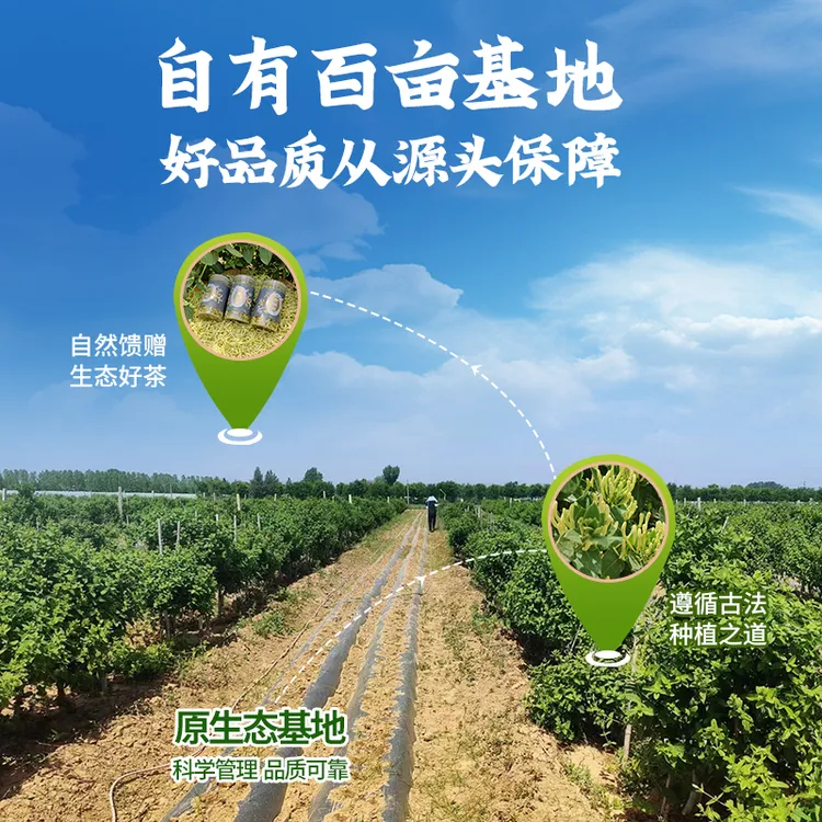 自有农场直供！当季头茬正宗绒毛金银花清热解毒下火 天然无硫晾晒