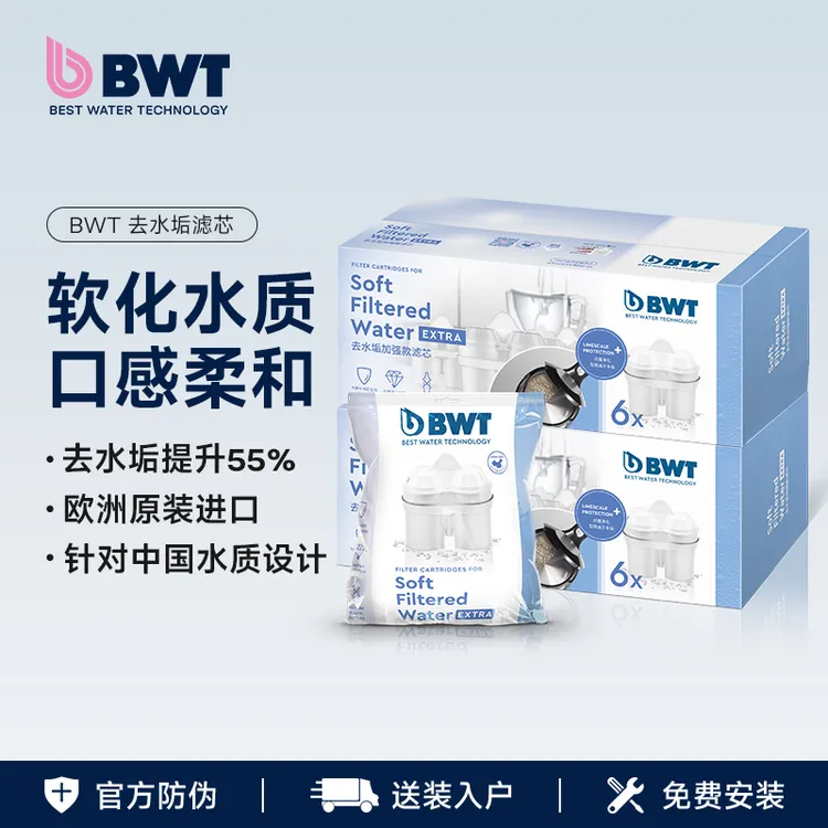 BWT倍世第5代进口去水垢加强版滤芯 过滤芯通用除氯净化水壶滤芯