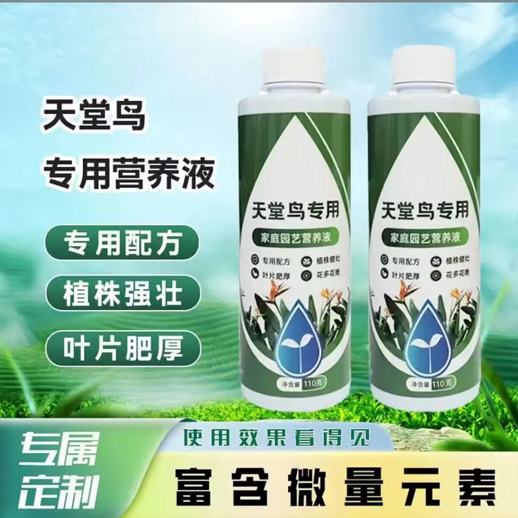 天堂鸟专用营养液肥料家用盆栽黄叶卷边开裂绿植通用型植物花肥料