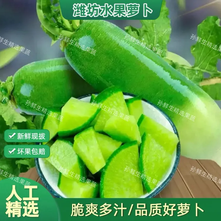 正宗潍坊萝卜水果萝卜传统生吃甜脆青萝卜冰糖心沙窝