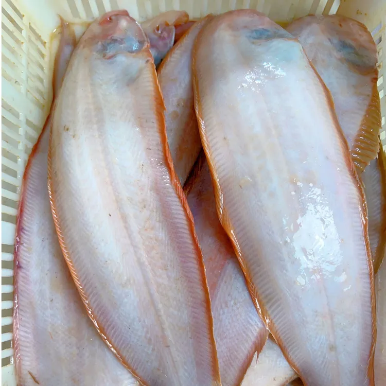 超大踏板鱼大连舌头鱼（4条鱼4.5斤）新鲜牛舌鱼龙利鱼鳎目鱼