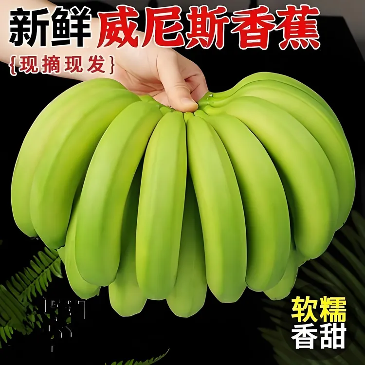 【头茬】广西高山绿皮甜香蕉3-9斤 新鲜水果自然熟软糯芭蕉小苹果蕉