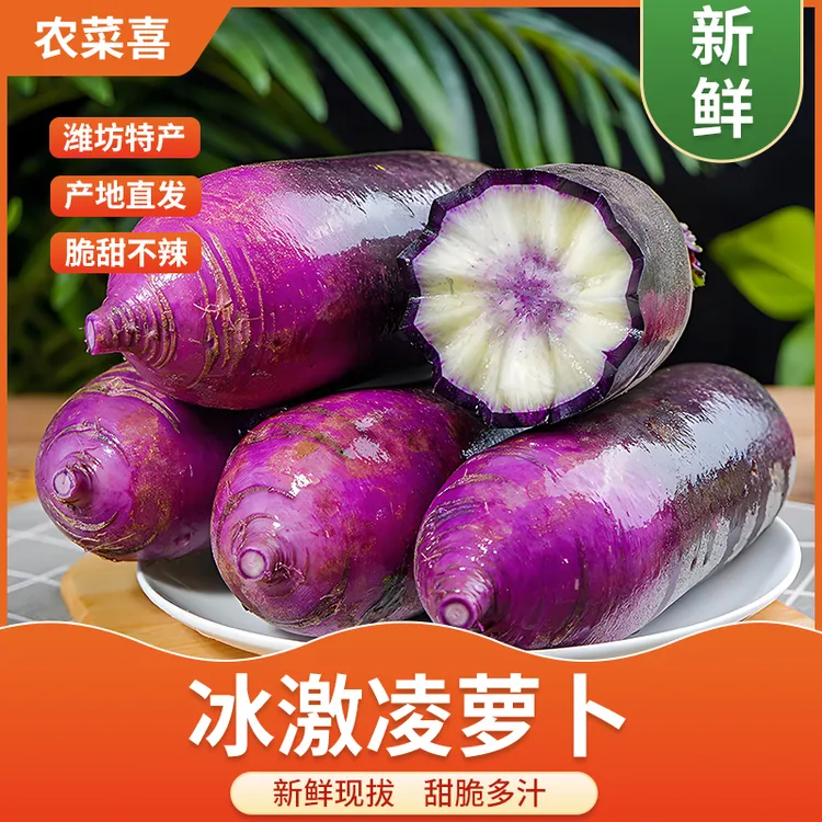 【脆甜不辣】山东潍坊冰淇淋水果萝卜 甜脆多汁生吃 现拔现发冰糖心