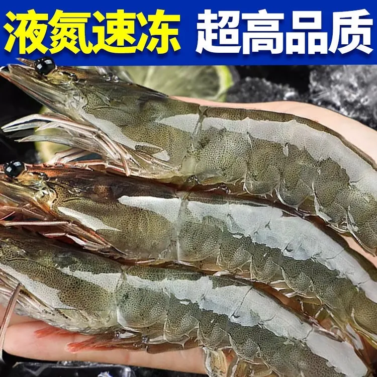  渔船海捕青岛大虾15 - 18cm左右/只，海虾活冻，40-50只左右