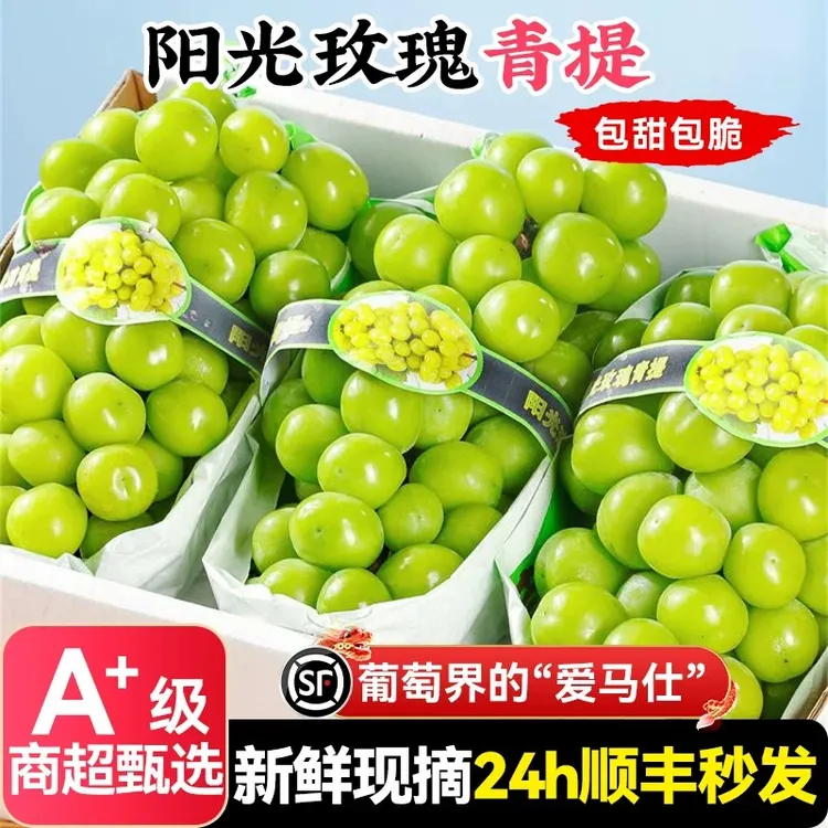 【顺丰溯源】皇后新鲜徐州王子青提晴葡萄玫瑰水果智利乒乓球提子阳