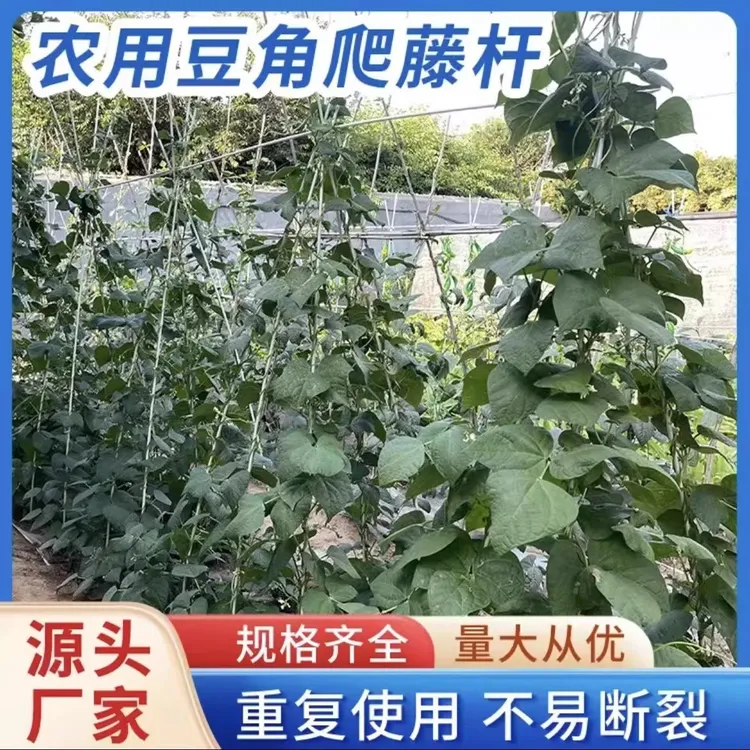 玻璃纤维杆农用小拱棚支架拱杆蔬菜保温棚菜棚杆遮阳防虫网爬藤架