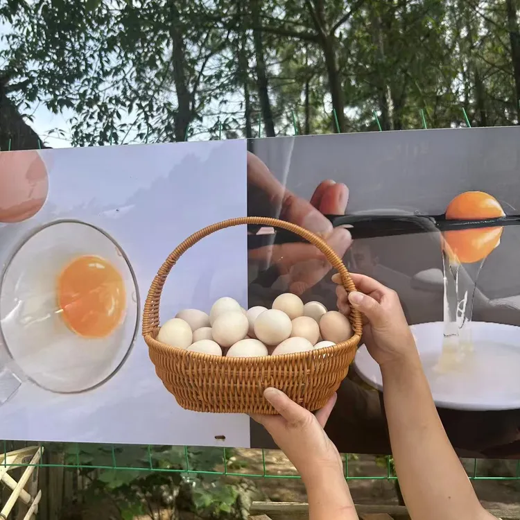 （可试吃5枚）农场直发正宗散养土鸡蛋新鲜农家散养30枚/板鲜鸡蛋
