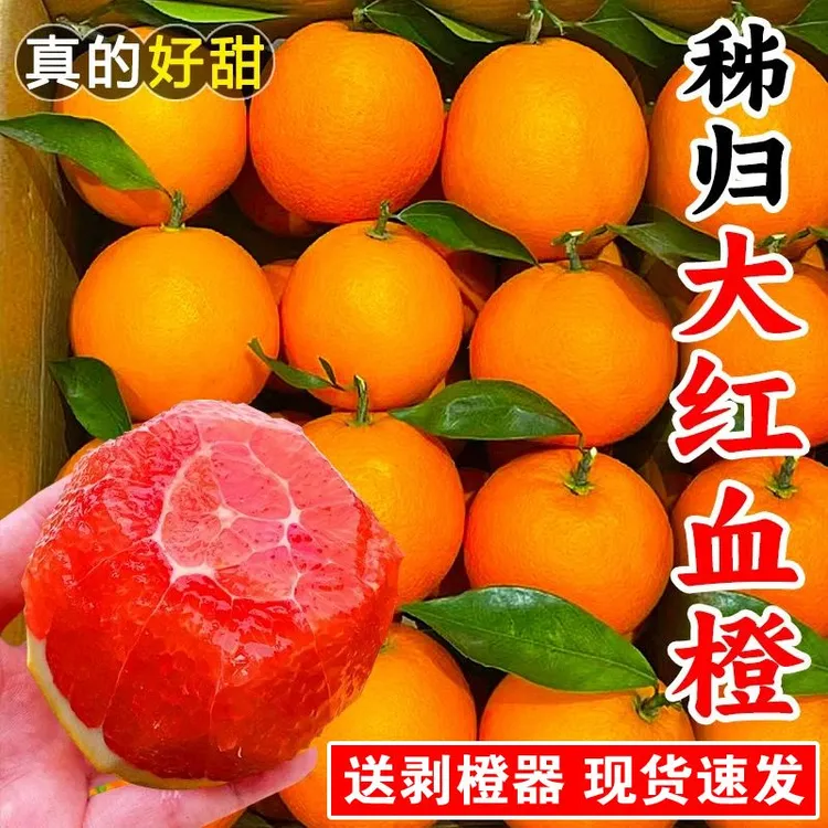 秭归血橙当季时令水果中华红肉橙3斤5斤9斤手剥雪橙新鲜宿舍橙子