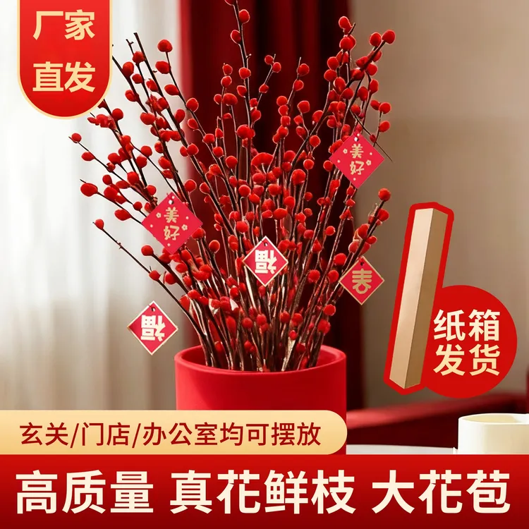 【买10送10支】年宵花真花红色银柳手工鲜枝银柳耐寒干花水培花卉