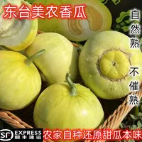 【顺丰包邮】东台农家自种小蜜罐美农甜瓜农家小甜瓜现摘现发白甜瓜
