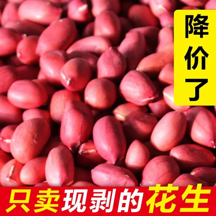 新红皮花生米批发生不带壳四粒红新鲜红衣特大颗粒大粒红花生米