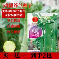 【买一送一】芥蓝种子粗条鸡腿芥兰菜园种植耐热蔬菜农家播种