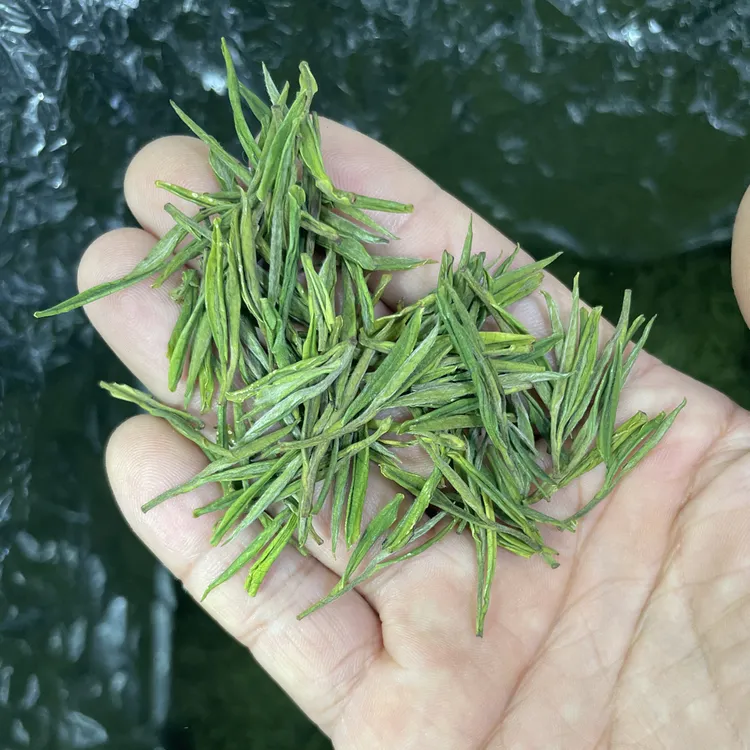 【安吉白茶】2025年安吉核心产区高山兰花香型白茶