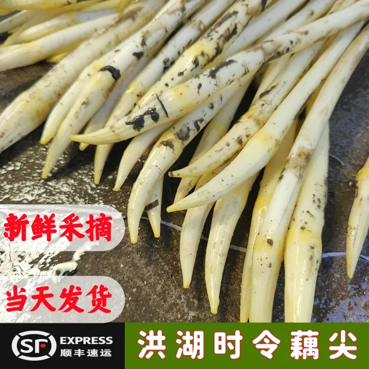 【顺丰包邮】2025新鲜藕带洪湖藕带藕尖藕肠子现抽时令蔬菜